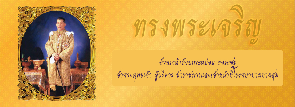 แบนเนอร์หลัก